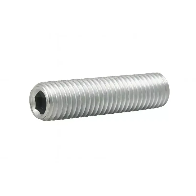 Vis sans tête à six pans creux - STHC - DIN 913 - M 16 x 30 - Bout plat - Inox A2