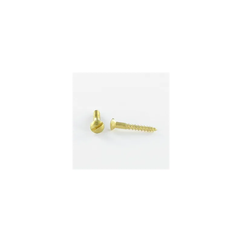 1 x Vis bois Laiton Tête fraisée bombée TFB Fendue 2X10 microvis