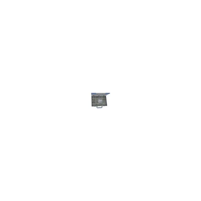 1 x Assortiment de 1666 VBA Vis bois agglo Tête fraisée TORX Inox A2 Embout