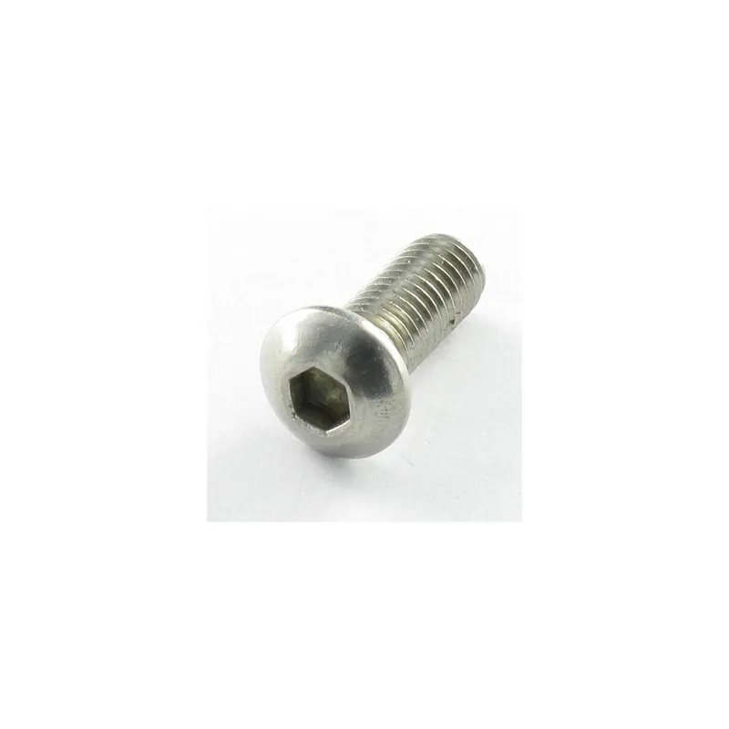 1 x Vis métaux BHC (Tête Bombée Hexagonal creux) M6X55 Filetage total Classe 10.9 Clé de 4 HC4 Acier zingué