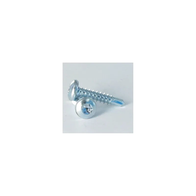 1 x Vis autoperceuse Tête cylindrique bombée TCB 6.3X25 TORX T30 Acier zingué RAL9016 blanc signalisation