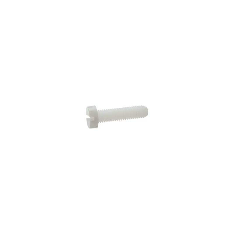 1 x Vis métaux Tête cylindrique TC Fendue M12X80 nylon naturel