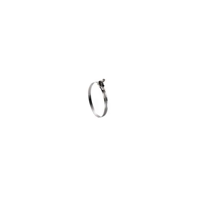 1 x Collier de serrage à tête basculante bande non perforée Diamètre 40 à 320 W2/ZG