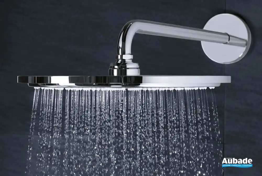 Rainshower douche de tête de Grohe